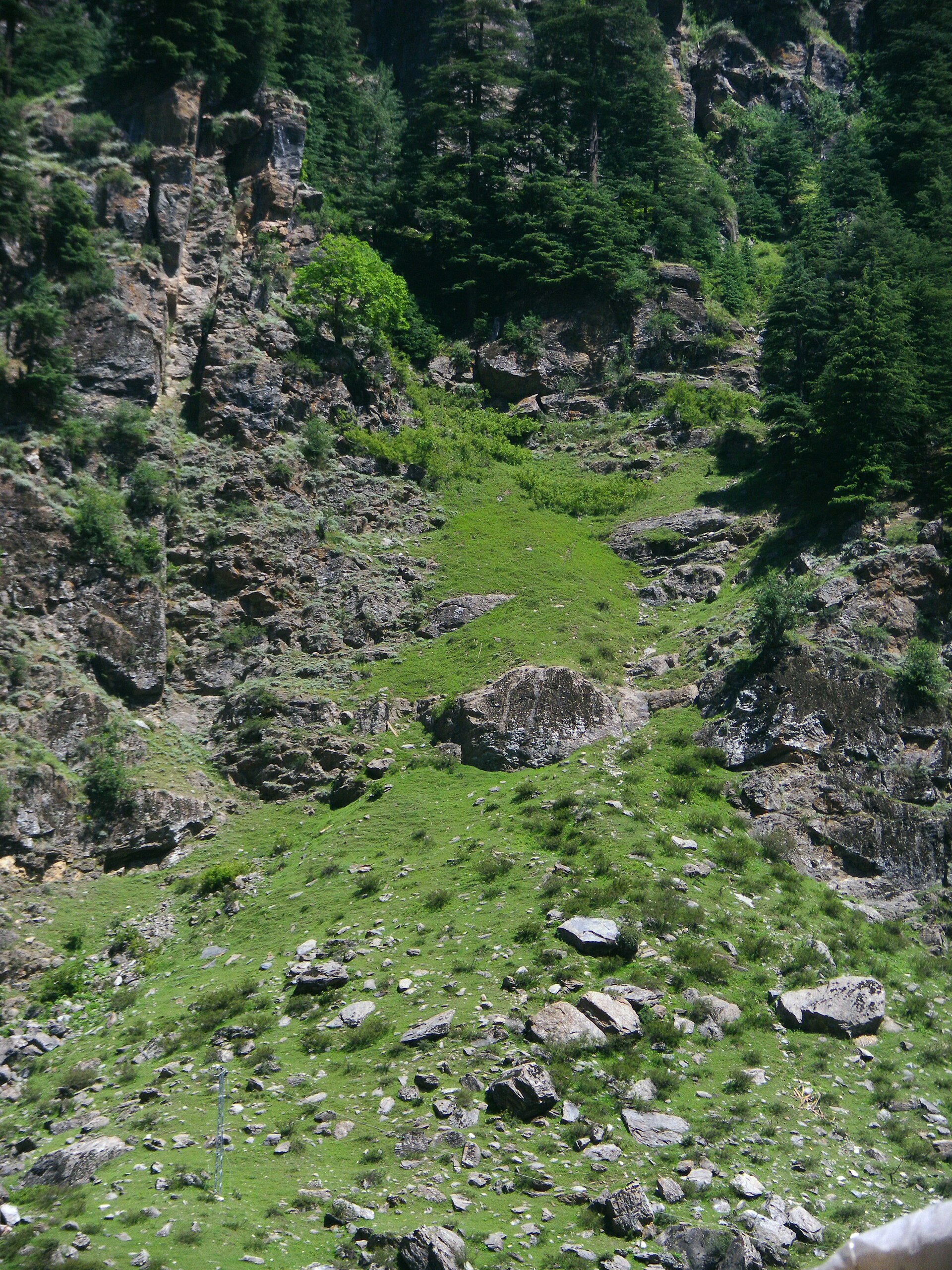 The old shepherd's path to Sharan Forest